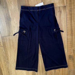 Ann Taylor Pants Womens 10 Blue Gaucho Clam Digger Crop Trouser